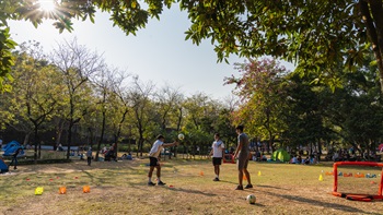 訪客在廣闊的的草坪上野餐、打羽毛球及其他康樂活動。